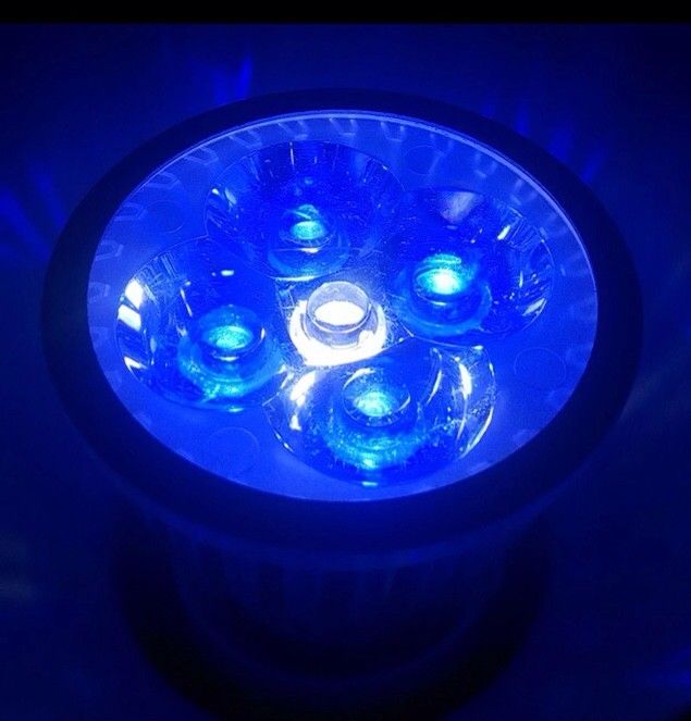 Светодиодная лампа для аквариума 10 ватт, 50мм*66мм, Е14, 4 синих, 1 белый