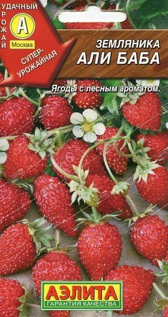 Семена земляники ремонтантная Али-Баба, Аэлита 0,04г
