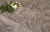 Ламинат SPC Stone Floor Травертин Бежевый 234-1 НР водостойкий #3