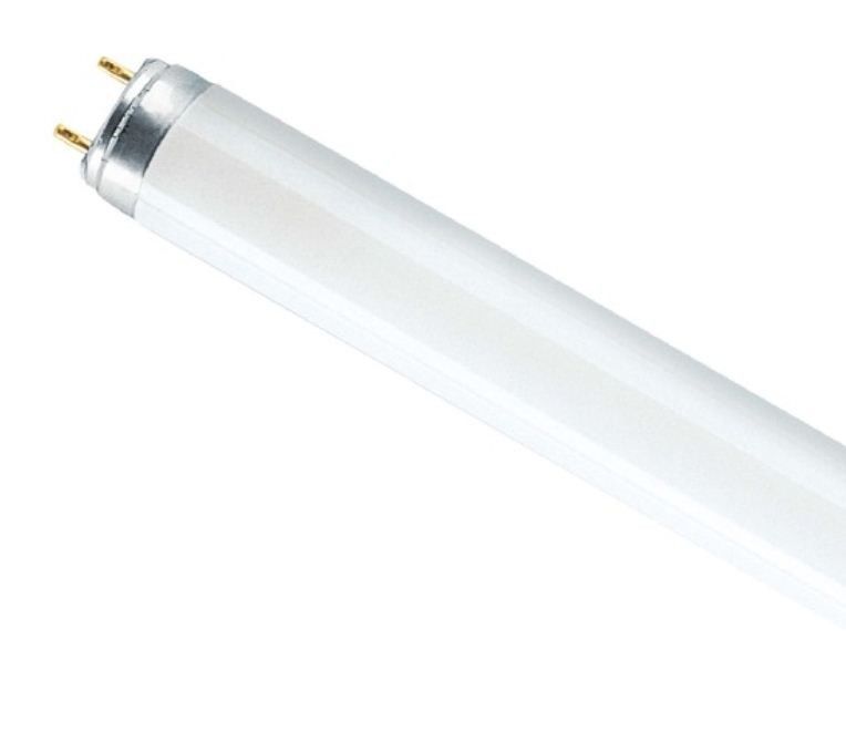 Лампа линейная люминесцентная ЛЛ 18вт ЛБ-18 G13 белая (FL18W/635)