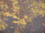 Антик рифлёная с прямой фаской 6 Винные листья